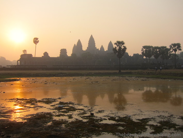 vue ensemble Angkor wat.JPG